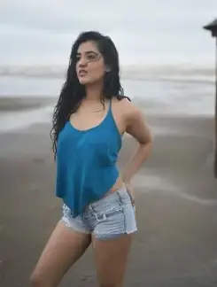 Working Girl bhimtal call girl